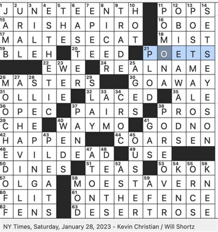 Theme park originally conceived as a planned community NYT Crossword Clue | 23 June 2023