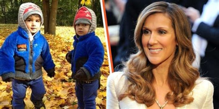 Who is Steve Damstra? – All About Paget Brewster’s Husband